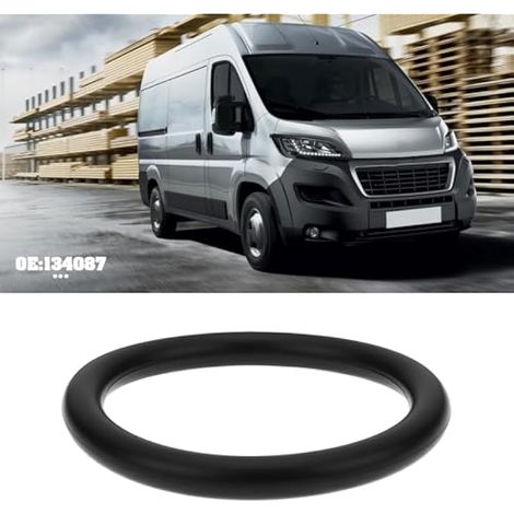 Lot de 2 thermostats de voiture 134087 - 30 x 4 mm - Compatible avec Peugeot - Compatible avec Citroën Boxer Relay 2.0 2.2 (1/3)