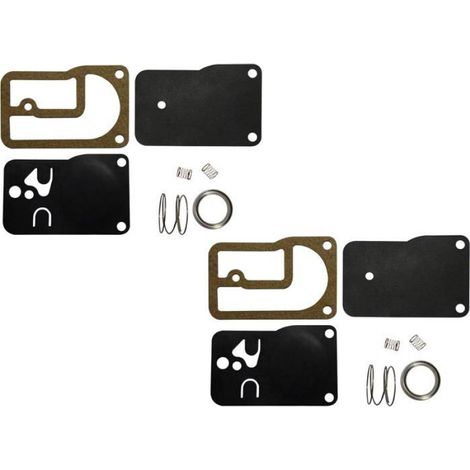 Kit Membrane Pompe A Carburant - Compatible Moteurs Briggs Stratton 16 Cv Et 18 Cv - Pour Carburateurs A 3 Vis - Lot De 2