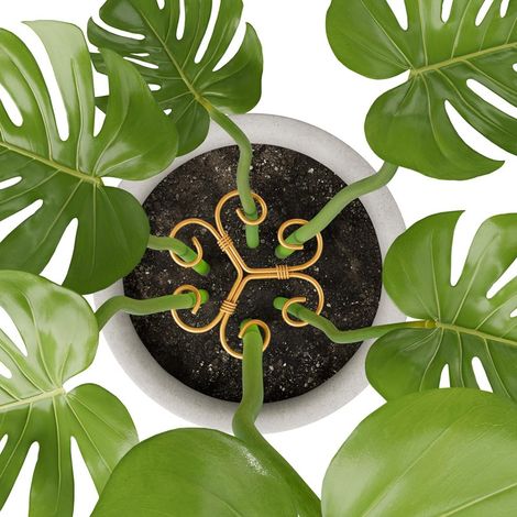 Set di 4 supporti in ferro per piante Monstera, supporti per piante da interno dal design esclusivo per favorire la crescita delle piante (1/5)