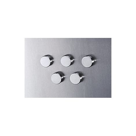 SMIT VISUAL  Calamita in acciaio inox  Ø 24 mm  conf da 36