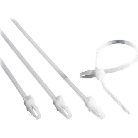 Bridas rittal 2597.000 plástico 150 mm pack 100