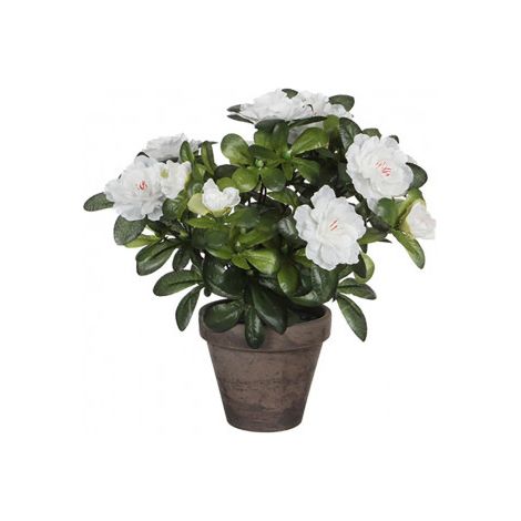 AZALEA ARTIFICIAL BLANCA EN TIESTO GRIS Ø11,5x27cm