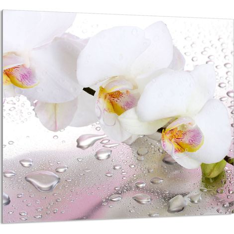 PANNELLO IN VETRO PER CUCINA 65x60 Orchidea (1/5)