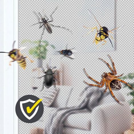 12pcs aimant pour moustiquaire-Installation magnétique – Barrière anti-insectes, à utiliser en ouvrant les fenêtres en été (1/4)