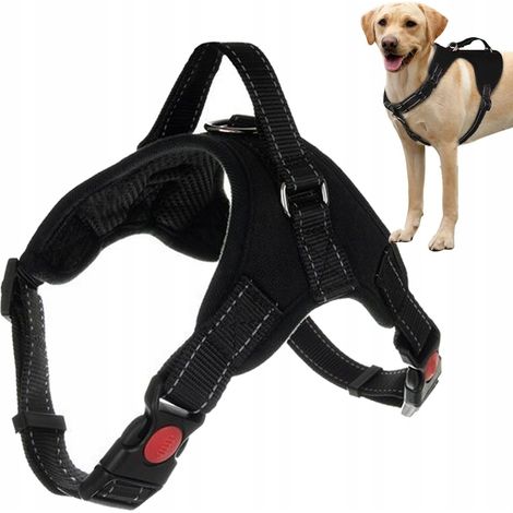 Hundegeschirr M (120) GABA (1/5)