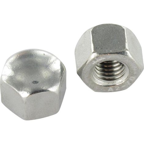 Ecrou Borgne Hexagonal BAS Inox A2 M20-25 pièces
