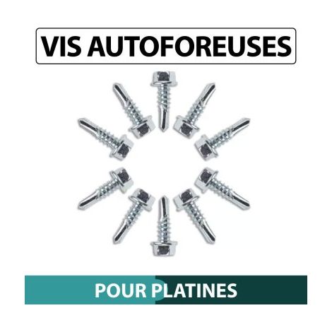 Cloture & Jardin – Vis autoforeuses pour platine 5.5mm – Acier zingué – Lot de 10 – Tête hexagonale pour installation rapide (1/2)