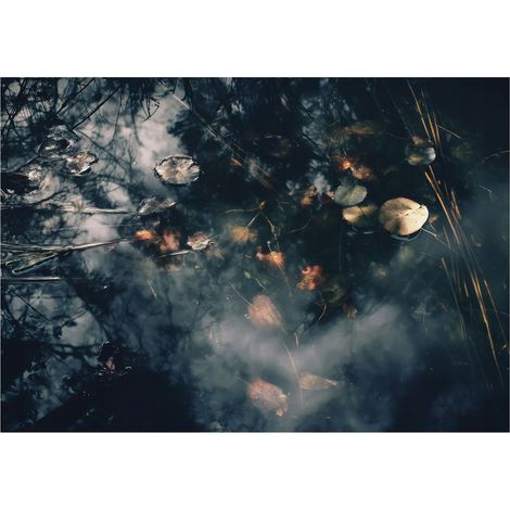 Fototapete Abstrakt 250x175 cm Grüner See Pflegeleicht und einfach montierbar (1/5)
