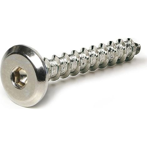 tornilo embellecedor cabeza plana tegas 6,3 largo 50nm diámetro 6.3 (1/2)