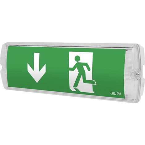 Luminaire LED de secours secteur, ECONOMIC 1W 3h + PU33, bouton test, IP65 (1/4)