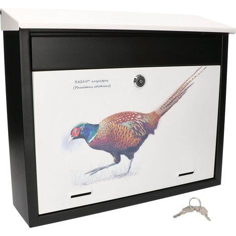 KOTARBAU Boîte aux lettres avec graphisme intéressant - Verrouillable - Résistante à la corrosion et aux rayures - Design faisan (1/5)