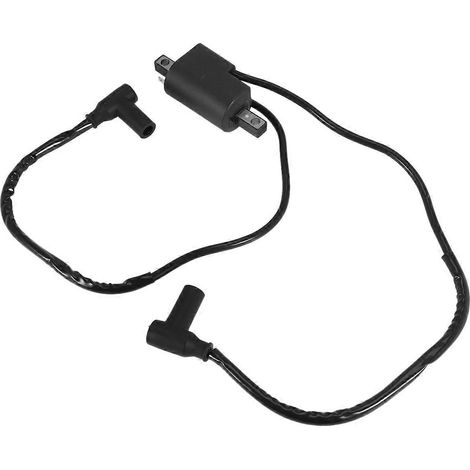 Bobine d'allumage GSX GTX SPX XP 787 800 pour Sea Doo Jetski Jetboat Jetboat 2780001130 2 (1/4)