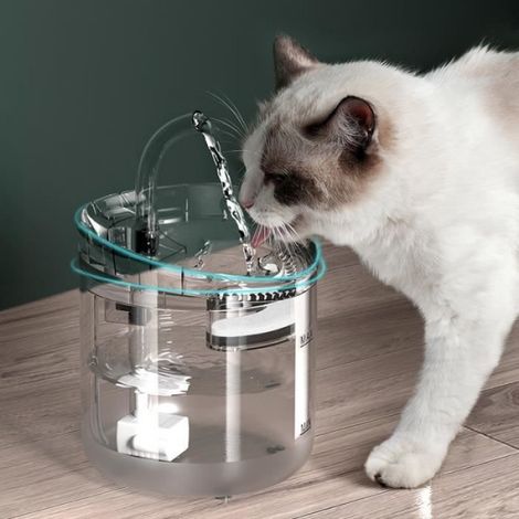 Abreuvoir transparent pour chien et chat avec capteur, abreuvoir avec filtre, filtre de remplacement, capacité 1.5L- (1/4)