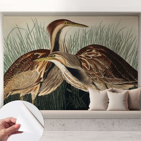 Fotomurale adesivo - Carta da parati adesiva - per la cucina camera da letto per la soggiorno - Uccelli realistici 208x146 cm (1/5)