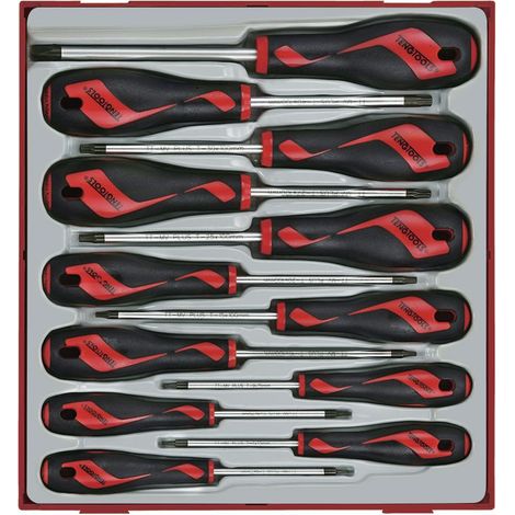 Jeu de tournevis Tx TT2 tray 12 pièces Teng Tools TTD912TXN (1/3)