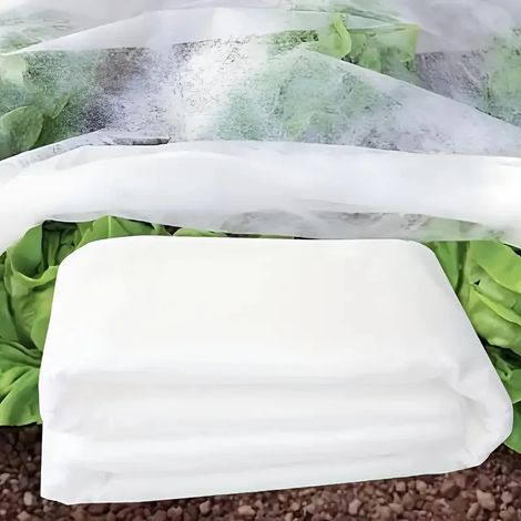 Couverture de protection hivernale contre le gel (1,6 x 3 m) - 1 pièce - Non tissée épaisse - Idéale pour les légumes, les fleurs et les accessoires de jardin. (1/3)