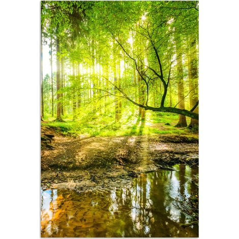 POSTER Foresta - Paesaggio - Acqua - Alberi - Sole - Verde - Natura 20x30 cm