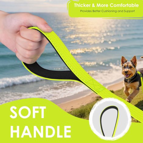 Laisse pour chien résistante à l'eau - Longue longe antidérapante pour dressage et promenade en plein air