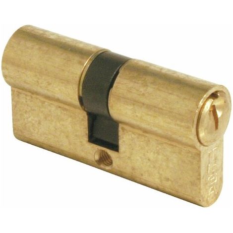 Cylindre de sûreté TE-5 laiton poli s'entrouvrant 30x30 - TESA SA