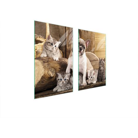 PIASTRA PROTETTIVA IN VETRO PER STUFA 75x52 CANE (1/5)