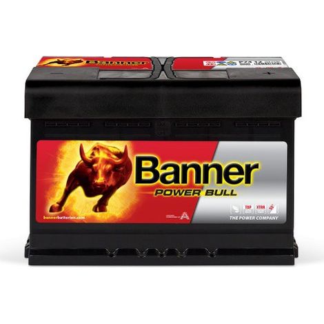 Batterie voiture 12V 74Ah 680A – P7412 – Technologie plomb-calcium sans entretien – Puissance de démarrage fiable – Banner (1/2)