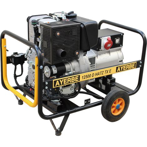 BRICOSOL GENERADOR DIESEL AYERBE 12500 HATZ TX ARRANQUE ELECTRICO (1/4)