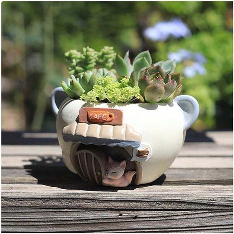 Flower Pot for Succulents, 4 Inch Pot, Flower Pot, Indoor Plant Pot with Drainage, Indoor Plant Pot (Fox, 1 Pack) (1/4)