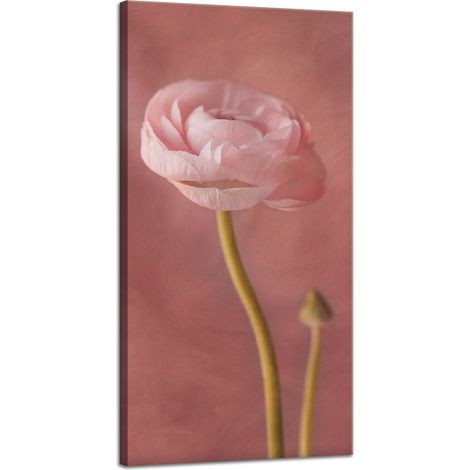 Impression sur toile Botanique Pivoine rose 40x80 cm