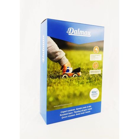 Semillas de Césped Mezcla Comercial RAY EXPRESS - 1 kg (1/2)