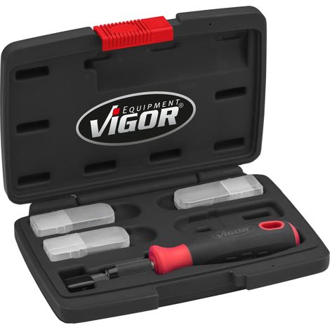 Vigor V6030 Set di raschietti Vigor V6030 (1/10)