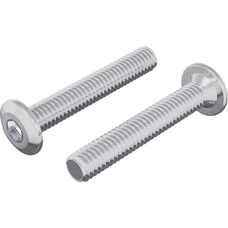 Tornillo de Bloqueo de Cabeza 2 pcs Plateado M6 x 35 mm Acero vidaXL