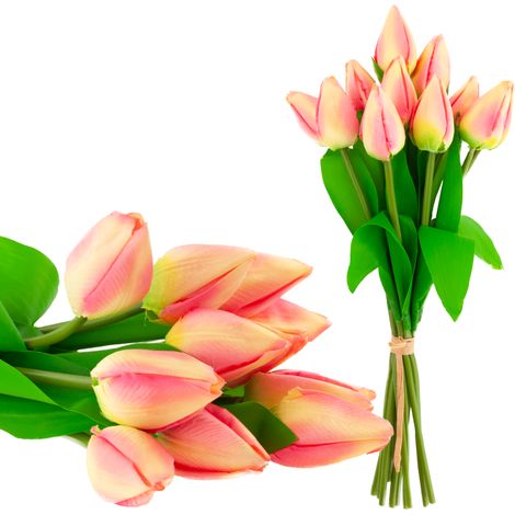 Bouquet de tulipes, 12 fleurs fermées, roses CV27025-2 (1/5)