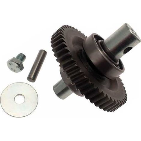 Albero Lento - Per Motore Fast Ricambio CAME 119RID229