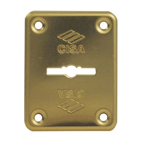 MOSTRINA RETTANGOLARE DOPPIA MAPPA 06082 CISA - OTTONE MM 60X46- 6 pezzi