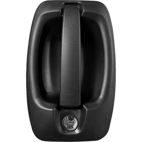 MANIGLIA ESTERNA PORTA SINISTRA - IVECO - Daily 2024 - 5801577663