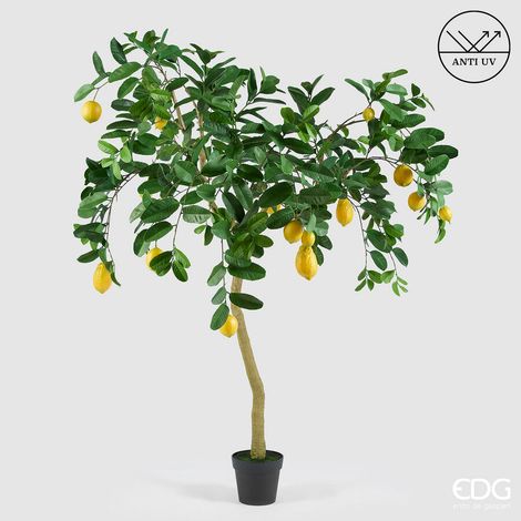 EDG Enzo De Gasperi Limone Anti-UV x19 con Vaso Pianta Artificiale H 170 Cm Verde Giallo