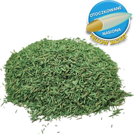 BARENBRUG Shadow : gazon d'ombre, 1 kg, résistant au soleil et à l'ombre (1/5)