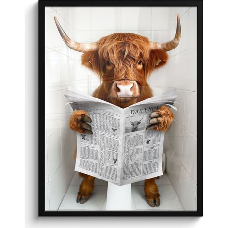 AFFICHE ENCADRÉE Scottish Highlander - Animal - Journal - Toilette Tableau Décoration Murale 60x80 (1/5)