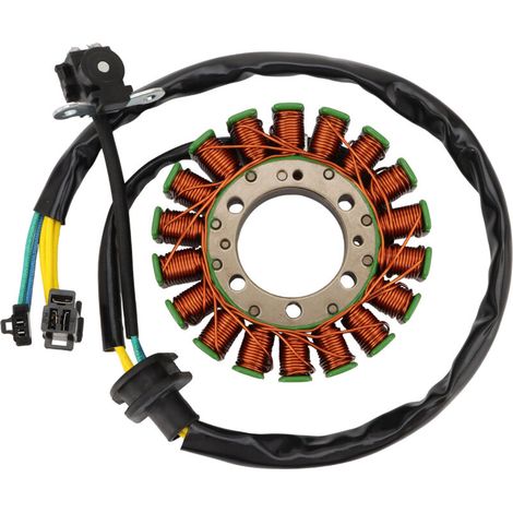 Passend für Suzuki AN250 und AN400 Roller sowie Burgman 250 und 400 Maxi-Scooter (Stator-/Generatorspulen). Original-Teilenummer: 32101-14F20-000 (1/4)