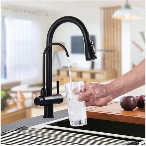 Küchenarmatur mit ausziehbarer Brause, schwarzer Küchenhahn aus Edelstahl, 360° schwenkbar für heißes und kaltes Trinkwasser FLITI