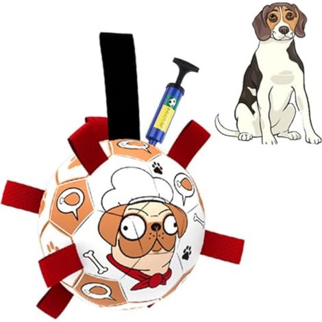Ballon de Football Interactif pour Chien Jouet Éducatif avec Sangles en Nylon et Pompe Inclus pour Moyen et Grand Chien 19 cm (1/5)