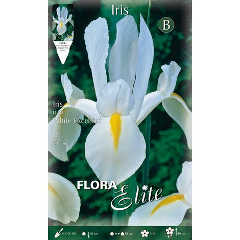 IRIS HOLLANDICA WHITE EXCELSIOR (CONFEZIONE DA 10 BULBI)