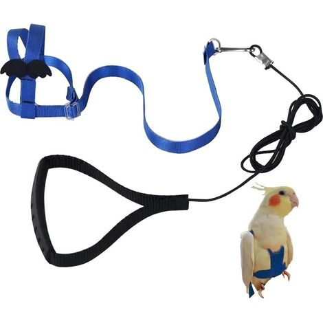Adjustable parrot harness, pet leash, bite-proof rope, elastic strap for birds, parrots, cockatoos, macaws (1/5)