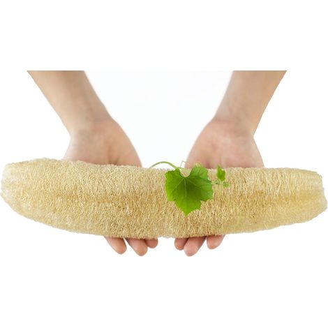 Loofah Naturel Entier - Éponges Végétales pour Bain et Exfoliation - Compostables et Zéro Déchet - Lot de 3 Pièces