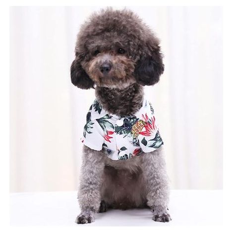 T-shirts pour chiens et chats, imprimé hawaïen tendance, doux et confortable. (1/4)