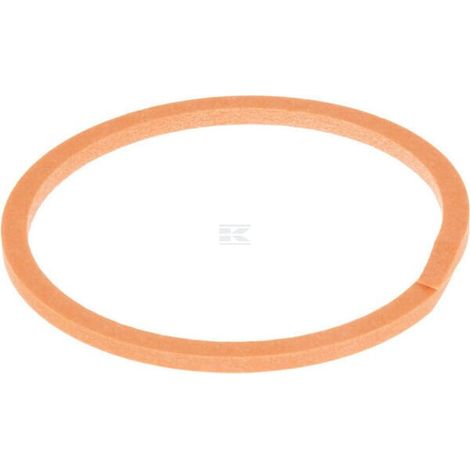 Anillo F0NN7N283AB CNH F0NN7N283AB
