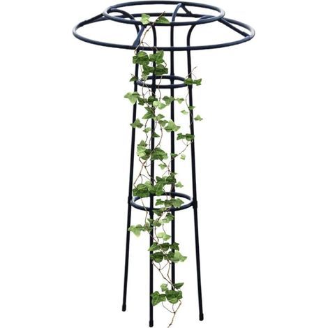 Tuteur d'extérieur - Cadre d'escalade pour fleurs avec hauteur réglable - (1/5)