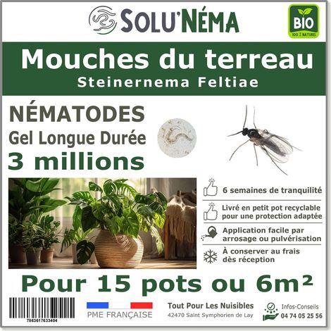 Nématodes SF contre la Mouche du Terreau - 3 millions Steinernema Feltiae - Traitement pour 12 à 15 pots soit environ 3m²