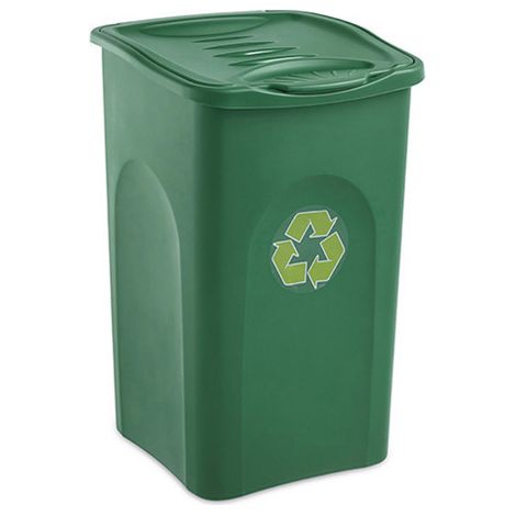 Bidone Pattumiera 50L con Coperchio Cestino Multiuso per Raccolta Differenziata e Panni da Bucato verde Made in Italy (1/10)