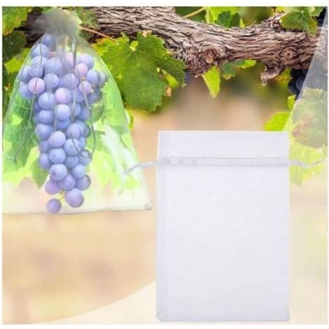 Lot de 100 Sacs Organza Transparent 30x20 cm pour Fruits Délicats Pommes Poires - (1/4)